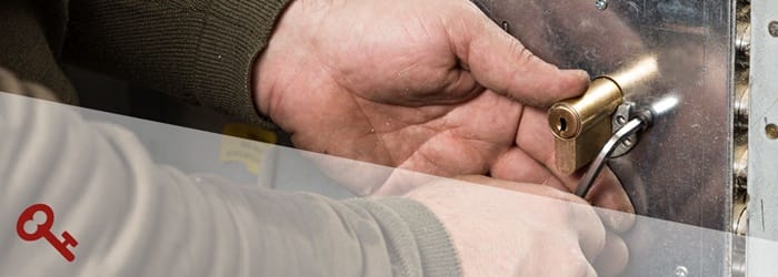 puerta proteccion profesional