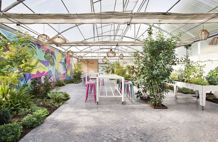 Se inaugura el Begonia’s Garden centro de plantas y talleres de la Fundación Aprocor