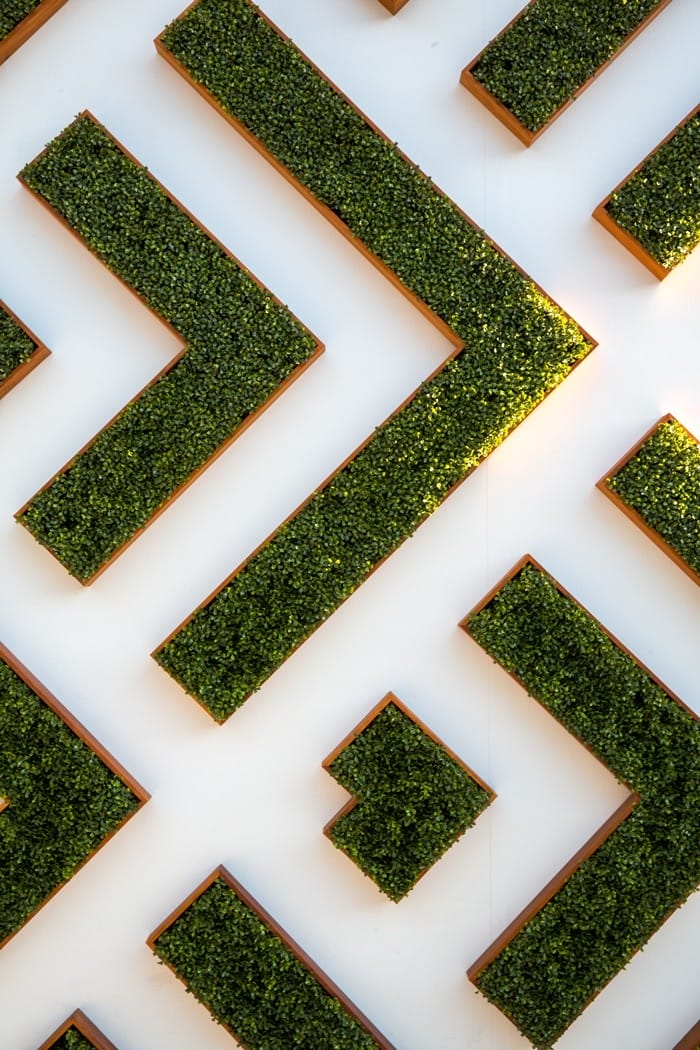 lineas plantas blanco verde