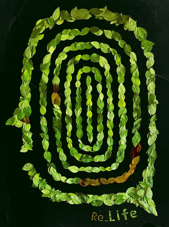 cartel hojas verde circular