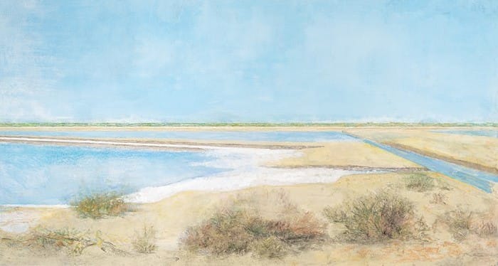 carmen laffon la sal