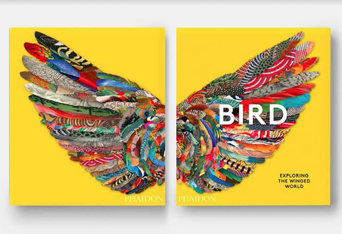 Un libro de la belleza de las aves a través del arte