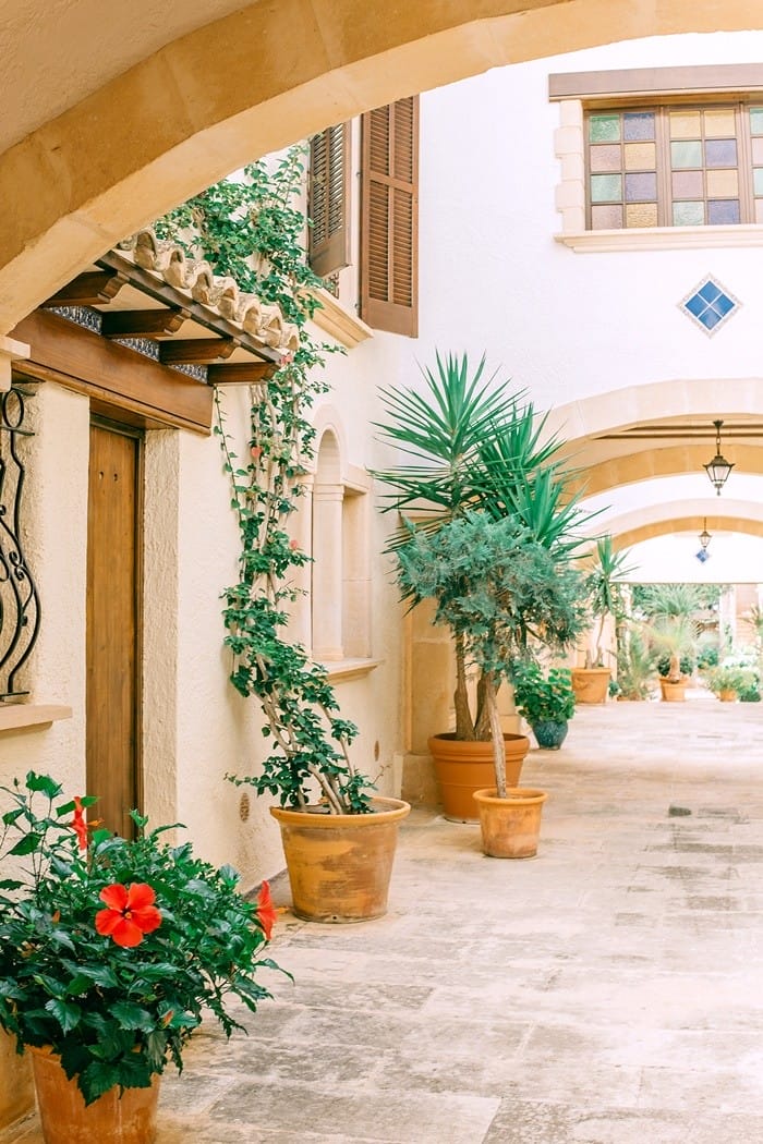 plantas enredadera exterior arcos puerta madera