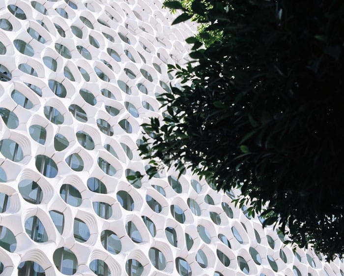 blanca fachada arbol irregular