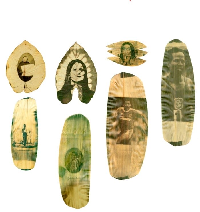 fotografia hojas verde