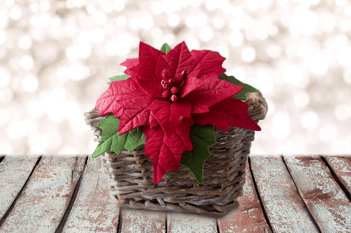 flor de pascua en una cesta