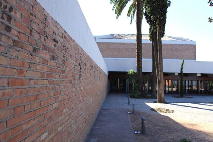 ladrillos pared blanco palmera edificio