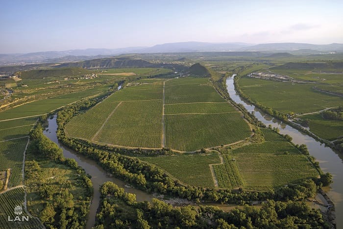 Panorámica de la Viña Lanciano