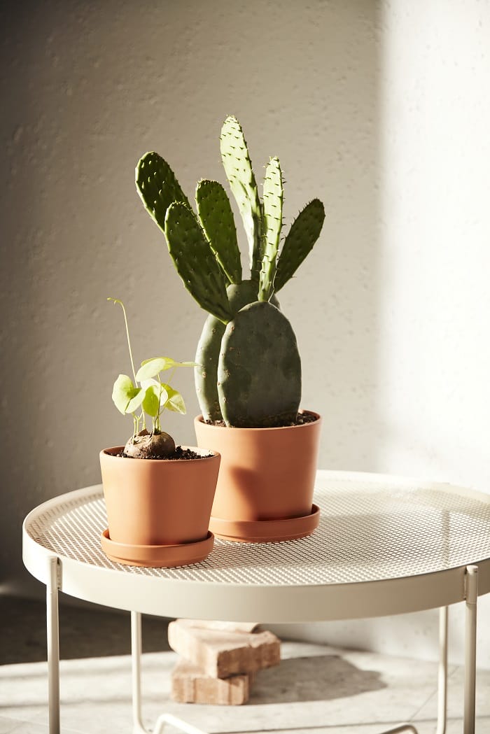 Dos macetas de diferentes tamaños de Ikea