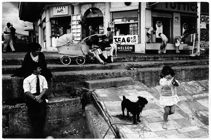 blanco negro fotografia mascota carrito bebe