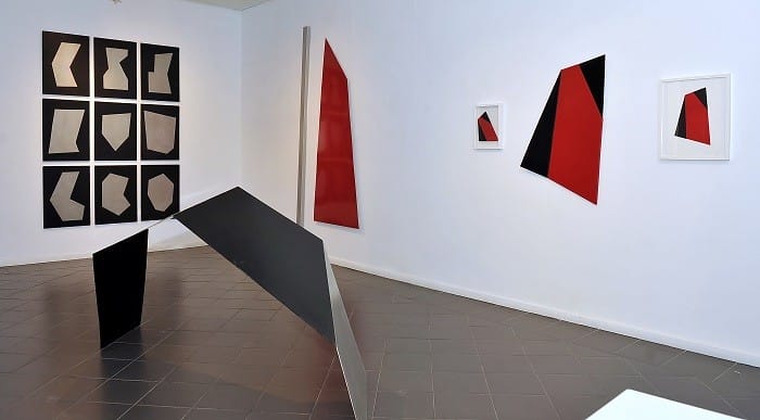 exposición de Teodosio Magnoni