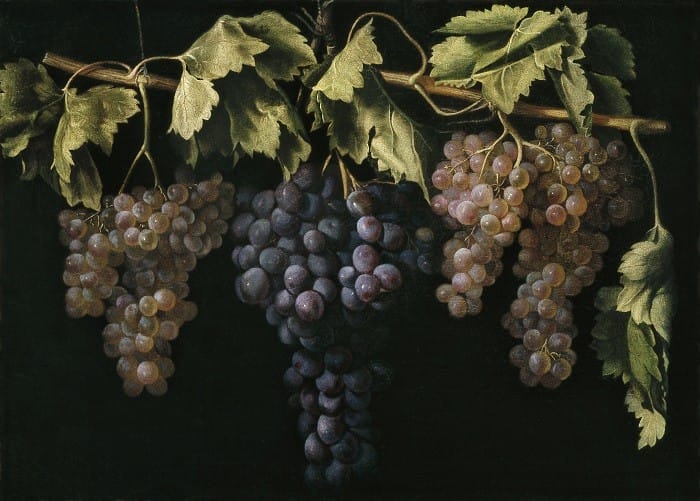 Bodegón pintura de racimos de uvas