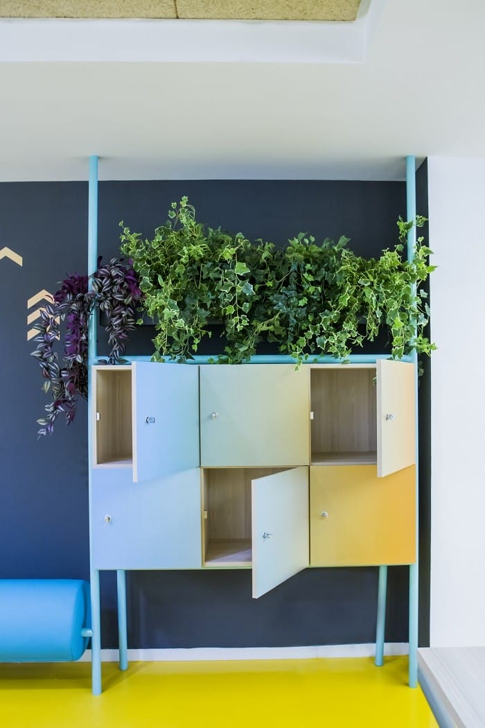 armario con plantas en coworking