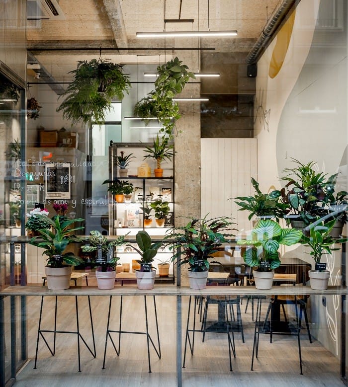 local en Bilbao con plantas