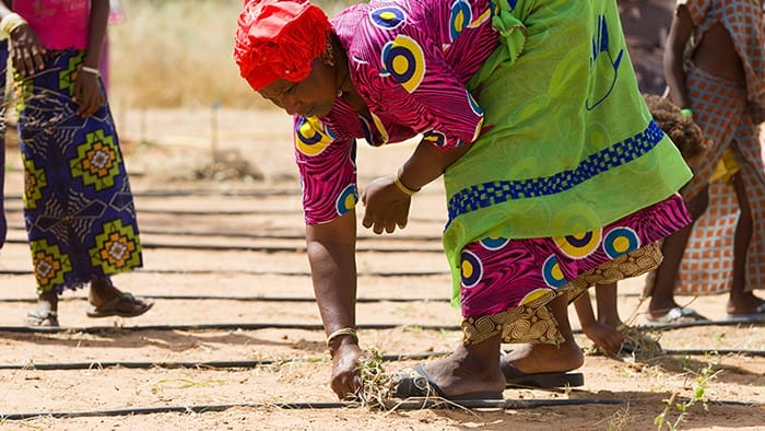 Mujer plantando