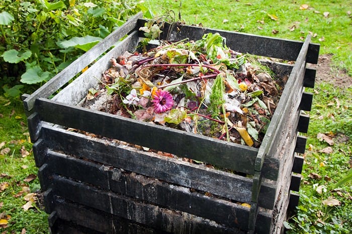 Día Mundial de la Tierra: 5 trucos para empezar a hacer compost