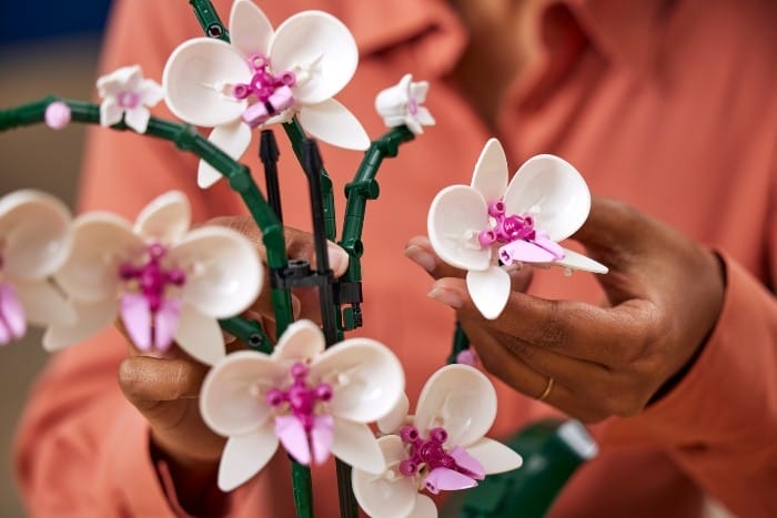 Los nuevos sets LEGO® Botanical para los adultos que buscan relajarse y desconectar