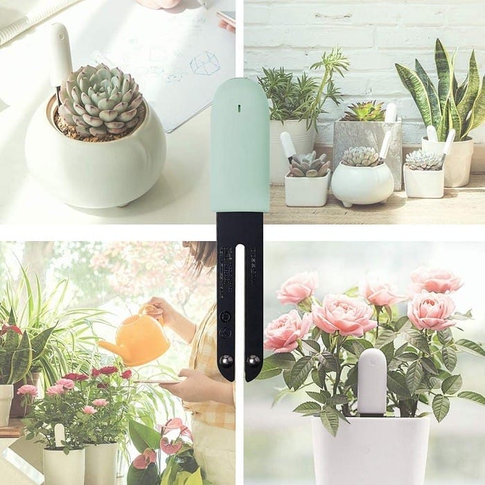 monitor planta para jardinería