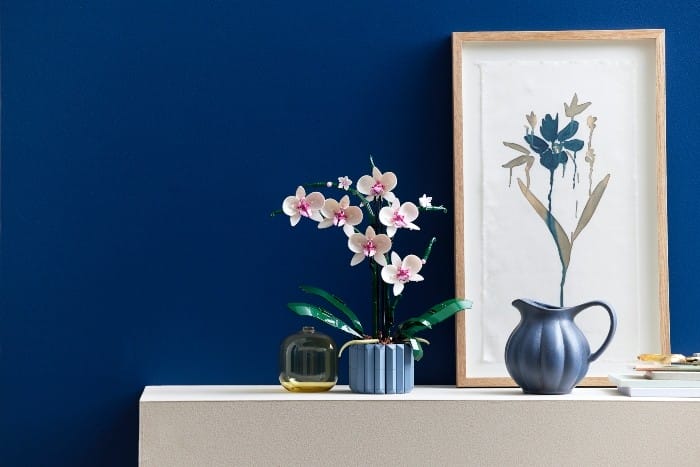 orquidea con petalos blancos