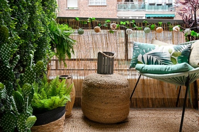 terraza con plantas