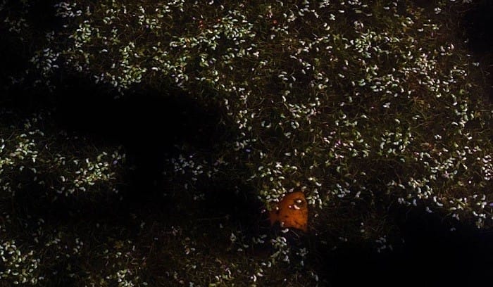 exposición MAYRIT 2022