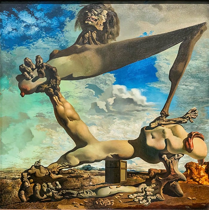 salvador dali