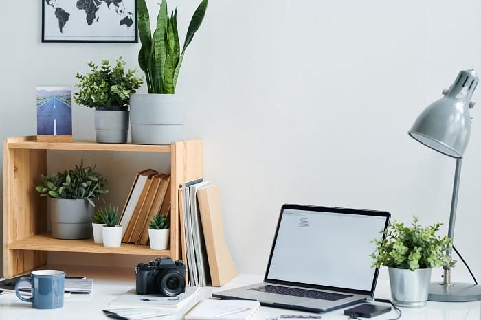 zona de estudio o trabajo con plantas