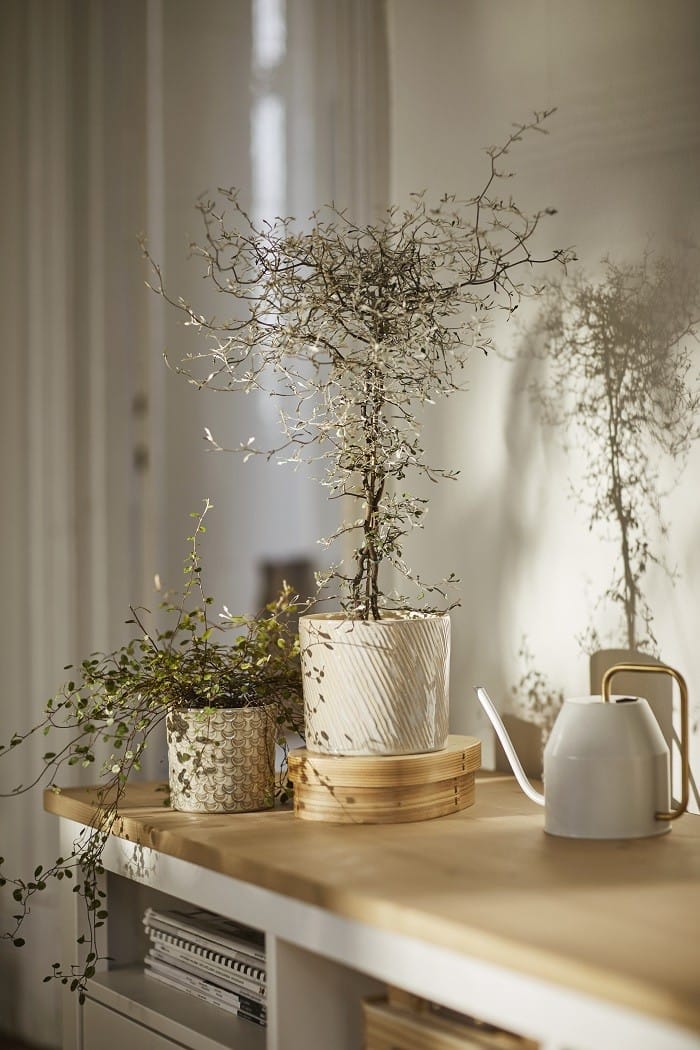 maceteros interior exterior Ikea