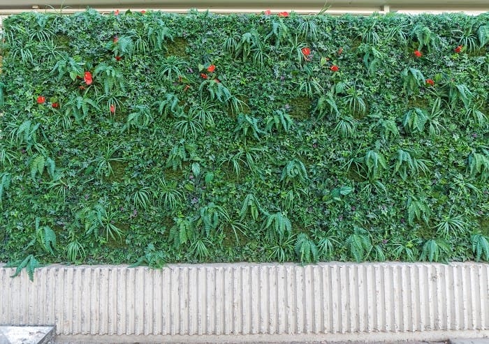 Muro pared con jardín vertical artificial