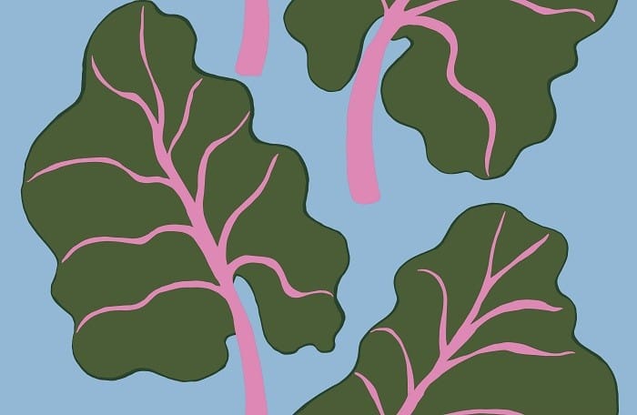 estampado para cortinas de ducha de Ikea