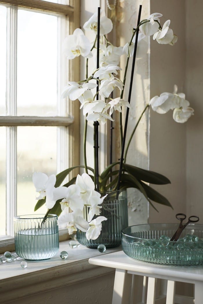 Flor orquídea en jarrones Ikea de cristal