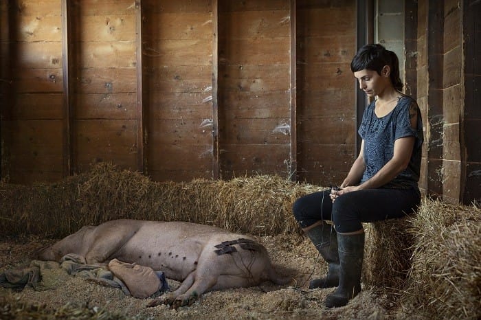Ganadera con una cerda