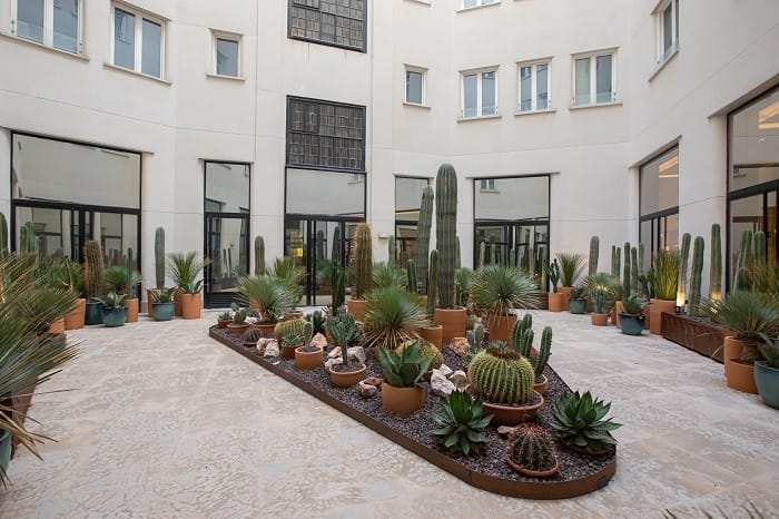 exterior con cactus en Bakan