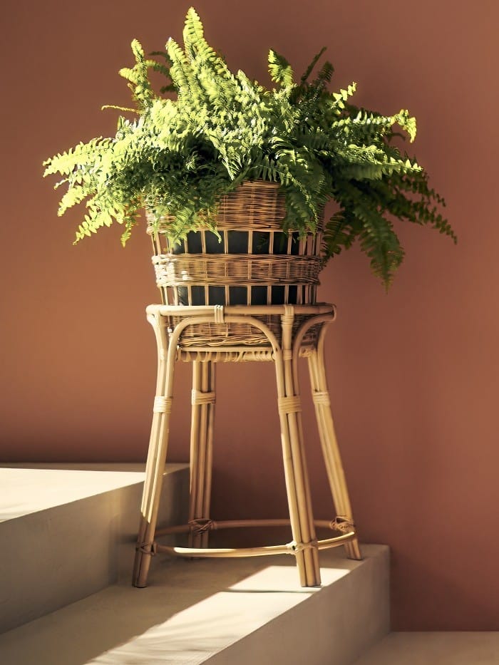 soporte para plantas de Ikea