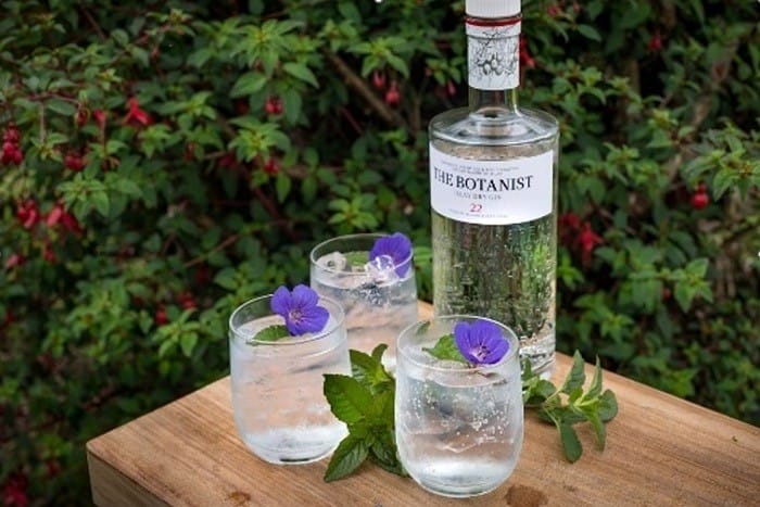 gin tonics Lovo Bar