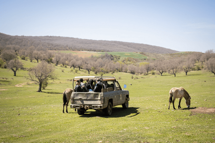 Safari por Burgos en 4x4