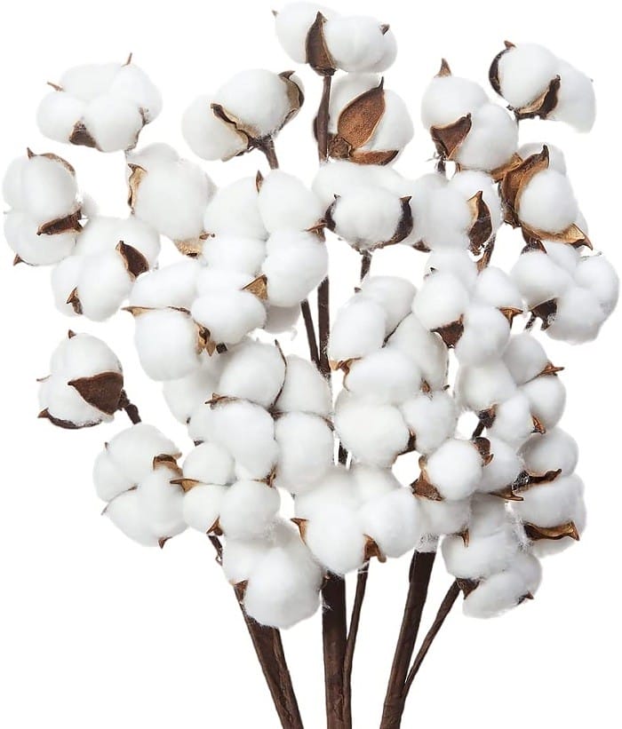 algodón artificial Amazon