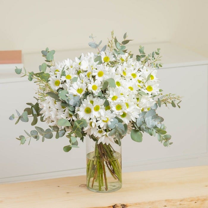 ramo de flores de margaritas