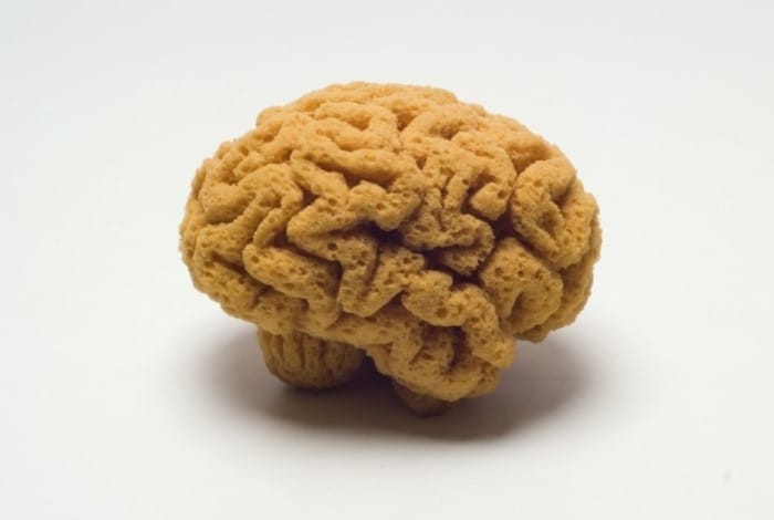 Descubriendo a Suzy Lelièvre: una percepción diferente de los objetos que nos rodean