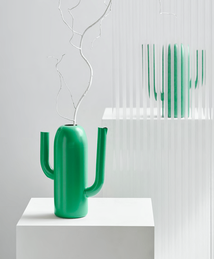 regadera cactus