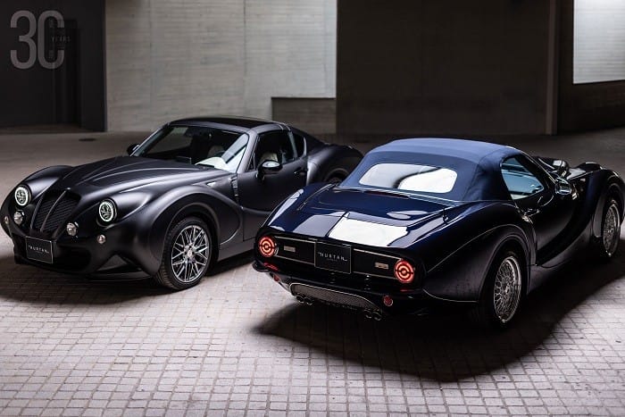dos modelos coches hurtan