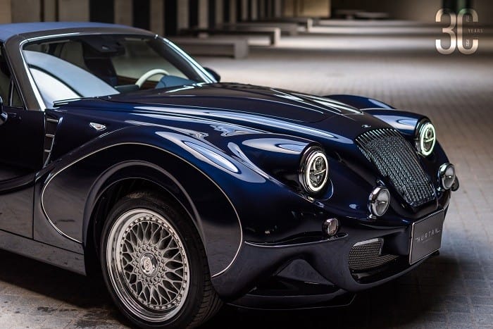 delantera del coche hurtan