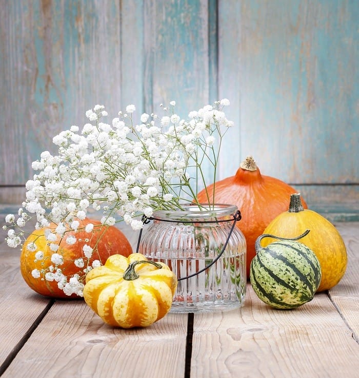 ramo de flores paniculata