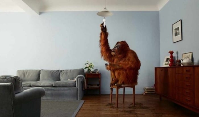 La democratización del arte digital