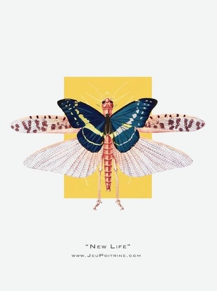 La democratización del arte digital