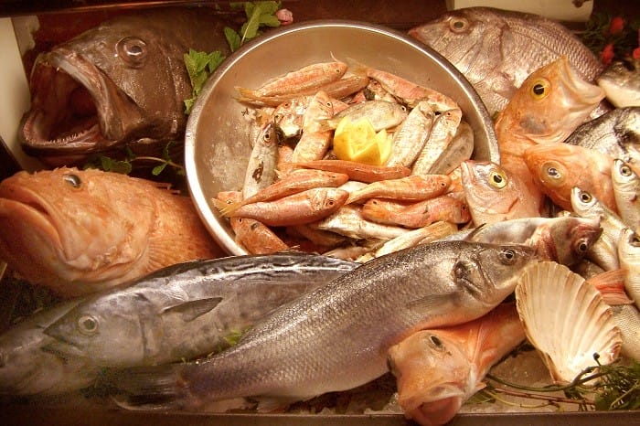 varios tipos diferentes de pescados