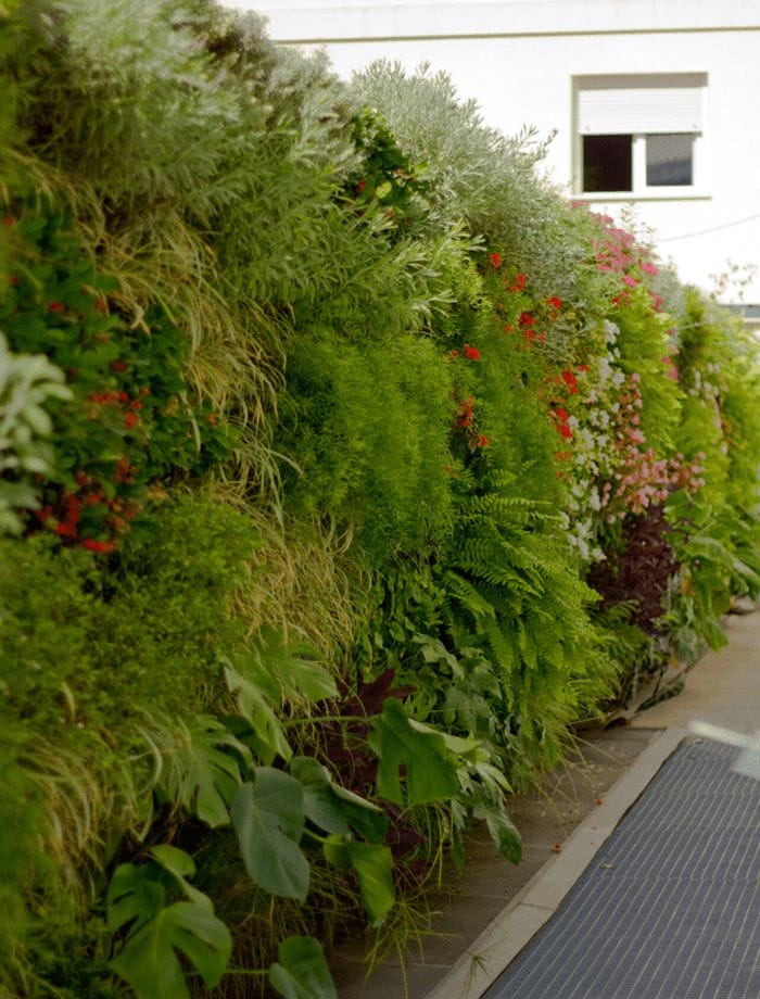 exterior con jardín vertical artificial