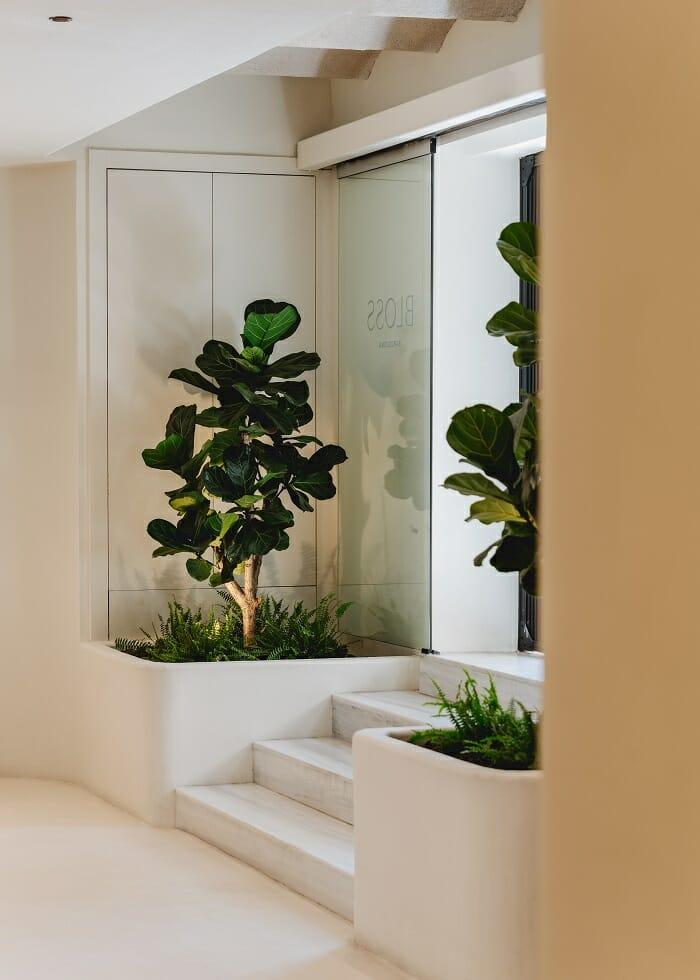 Entrada del centro Bloss Barcelona con una planta