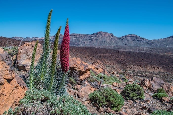 Vistas de las montañas del Teide en Tenerife