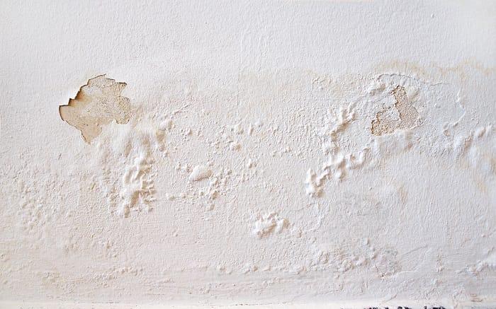 Pared blanca con humedades
